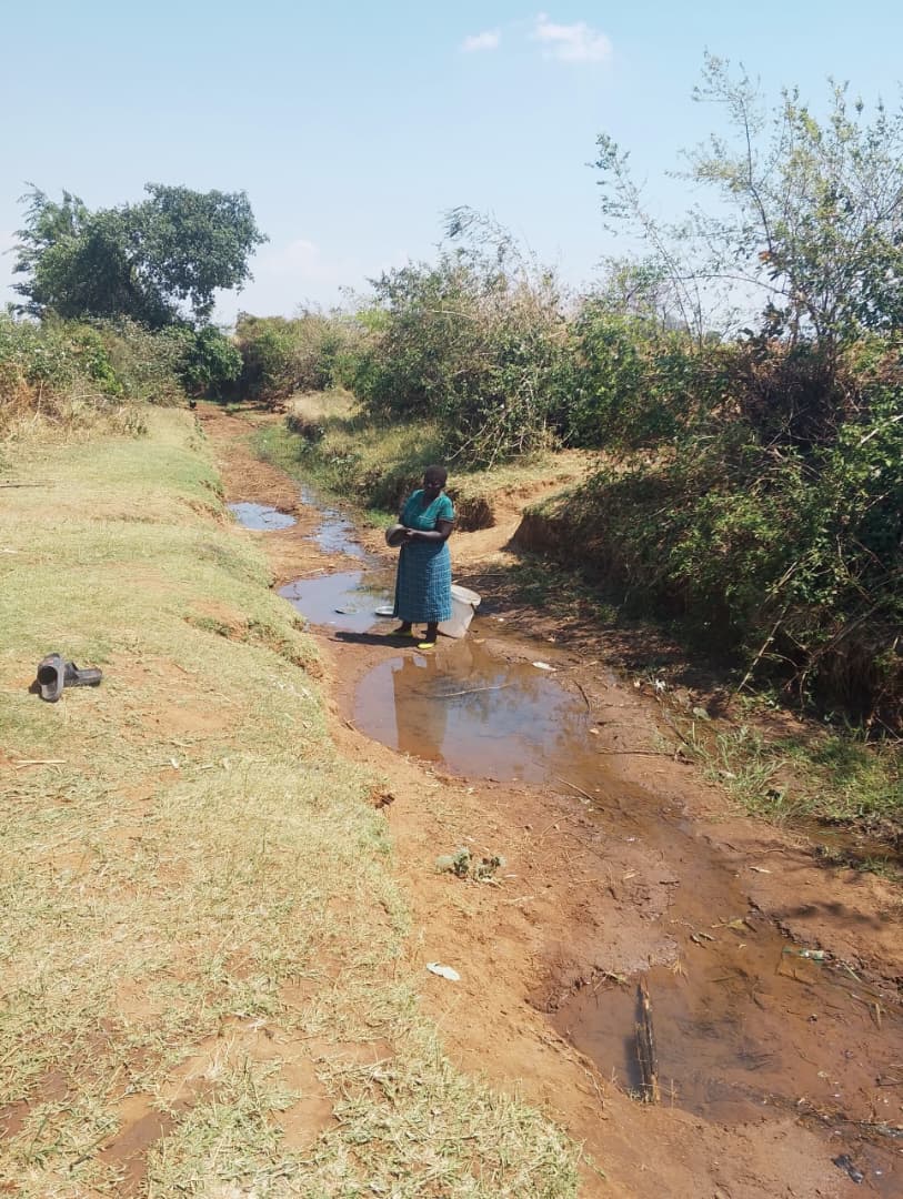 Thoza Village: From a Dwindling River to Clean Water
