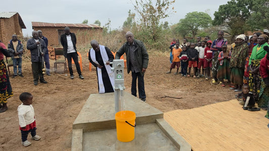 Chakwanika Village Well Project