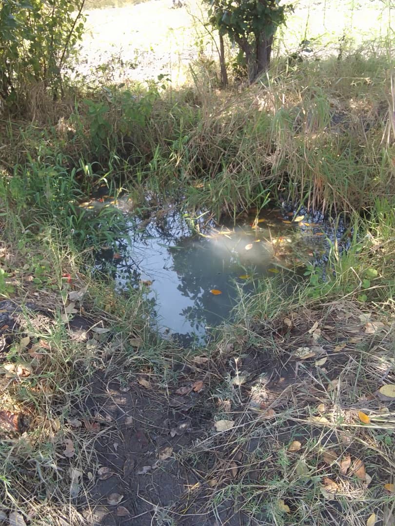 Chakwanika Village Well Project
