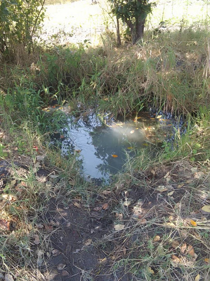 Chakwanika Village Well Project