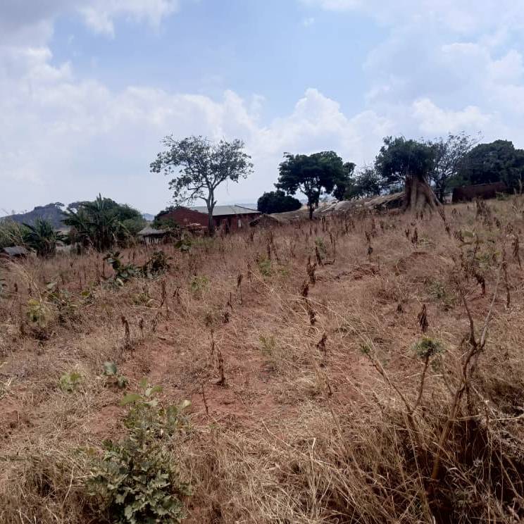 Chivinya Village Well Project