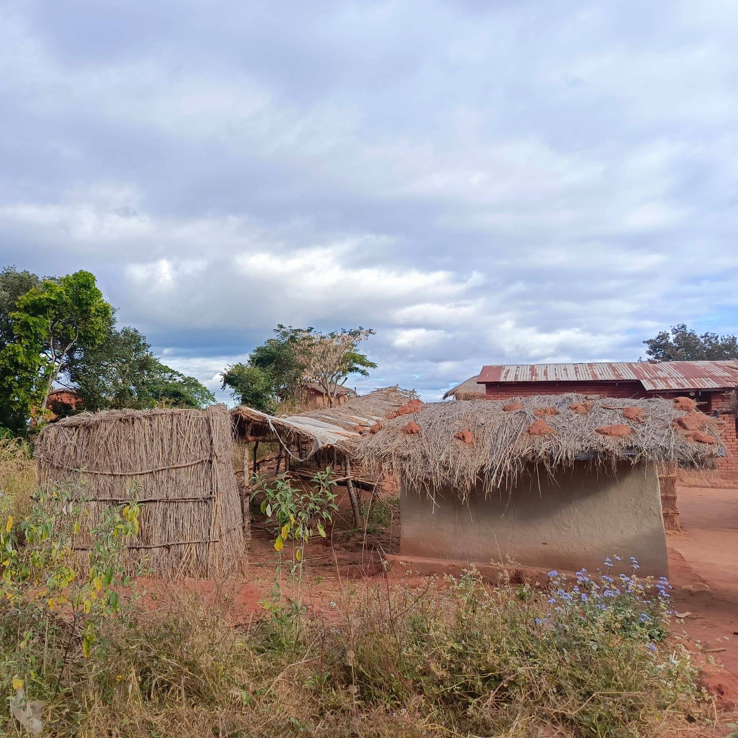 Chizani Village Well Project