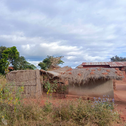 Chizani Village Well Project