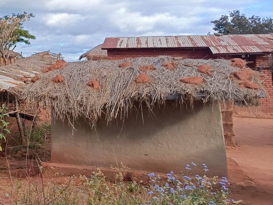 Chizani Village Well Project