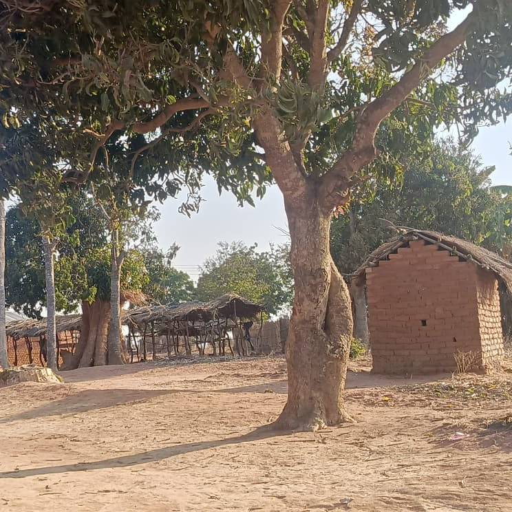 Emvuyane Village Well Project