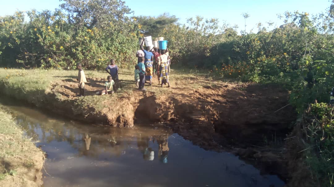 Kaputeni Chisi Village Well Project