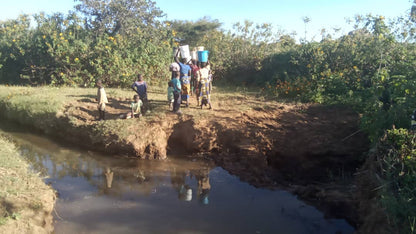 Kaputeni Chisi Village Well Project