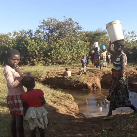 Kaputeni Chisi Village Well Project