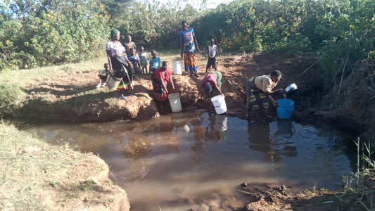 Kaputeni Chisi Village Well Project