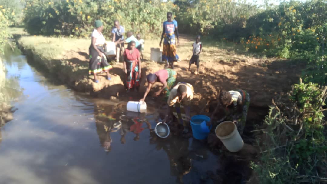 Kaputeni Chisi Village Well Project