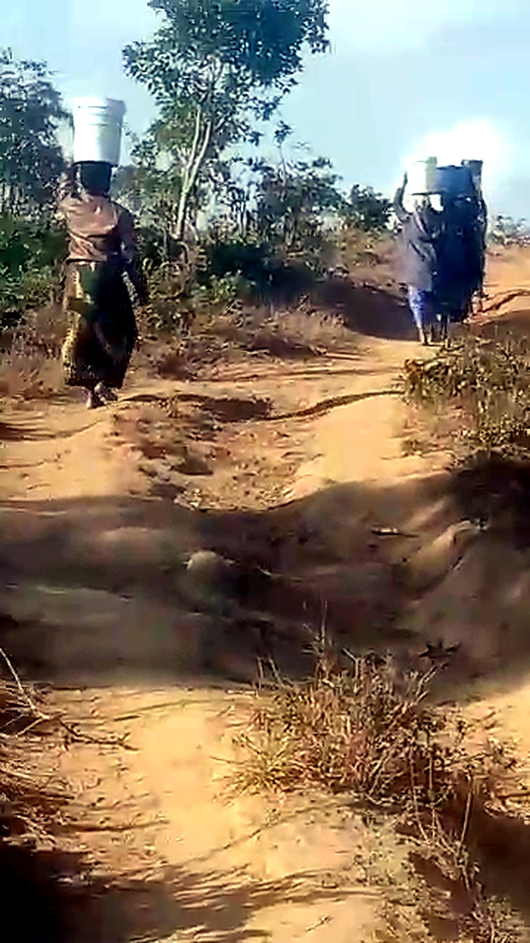 Mkandawire Village Well Project