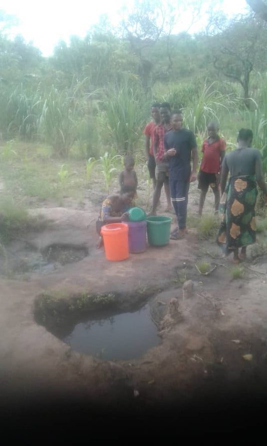 Phembe Village Well Project
