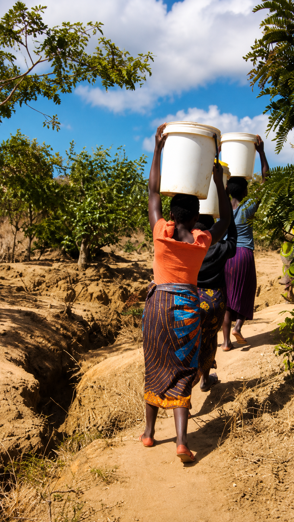 Theu Village Well Project