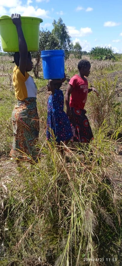 Yesaya Village Well Project