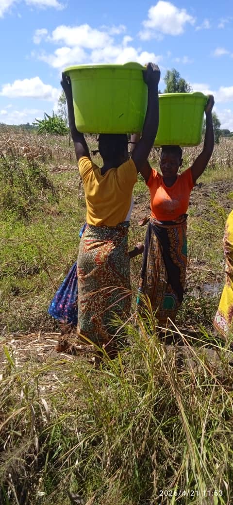 Yesaya Village Well Project