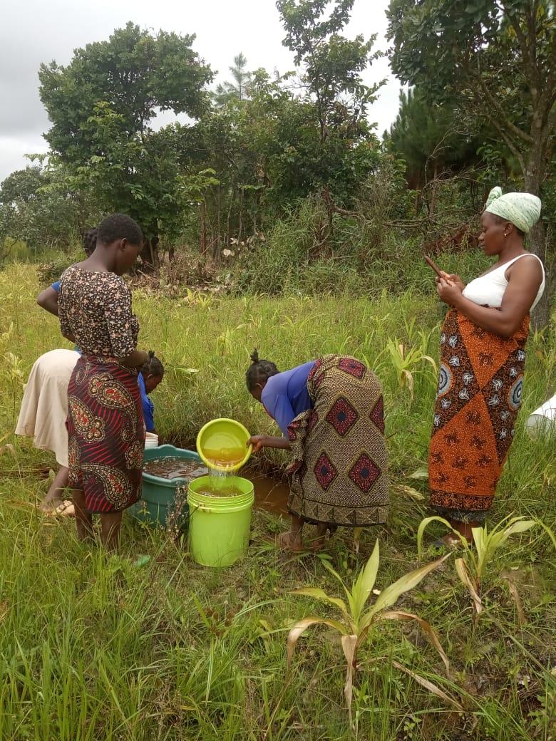 Zakariya Village Well Project