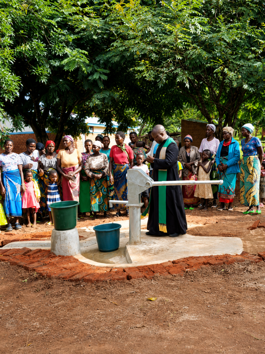 Zebediya Village Well Project