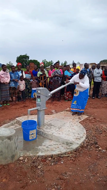 Luwerezi Village Well Project