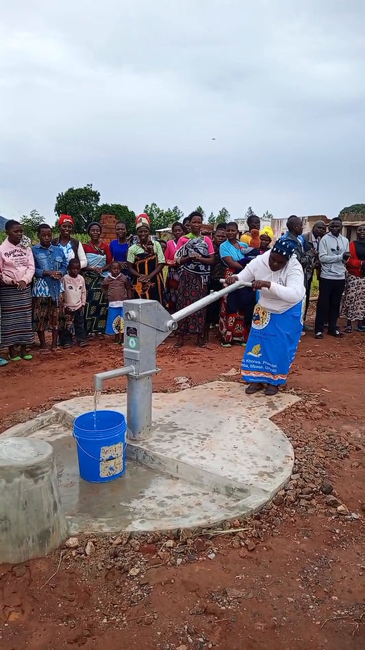Luwerezi Village Well Project