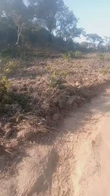 Mkandawire Village Well Project