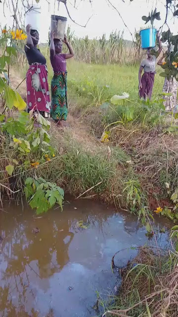 Chimwendo Chisi Village Well Project