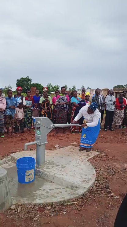 Luwerezi Village Well Project