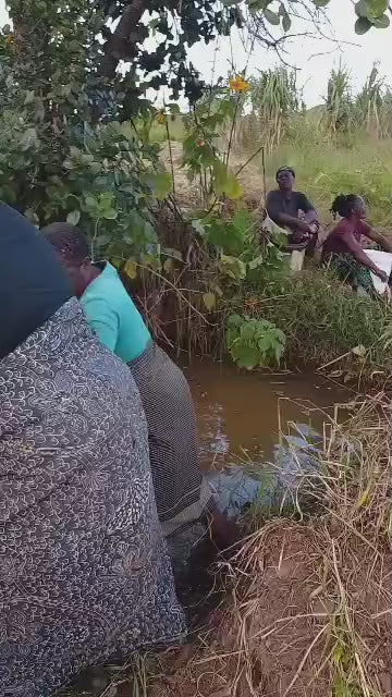Chimwendo Chisi Village Well Project